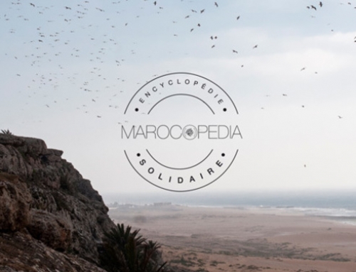 Interview avec Marocopédia, la start-up du Pitch Lab 24
